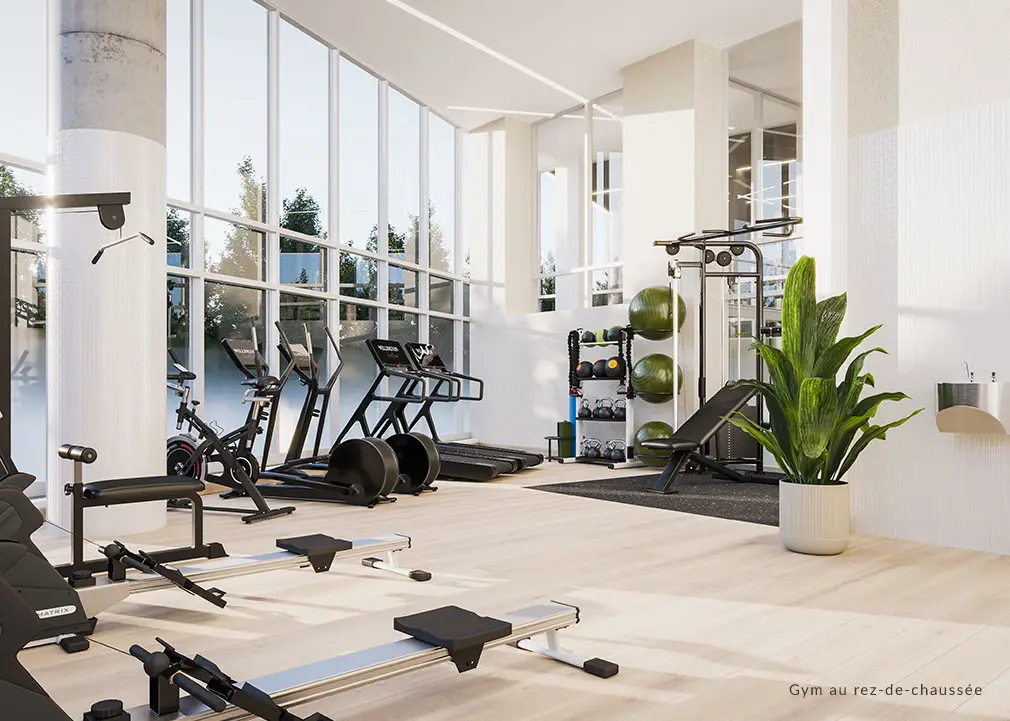 Wellington Sur Le Bassin