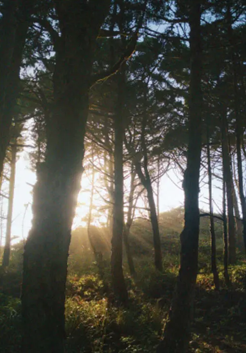 Wellington Sur Le Bassin